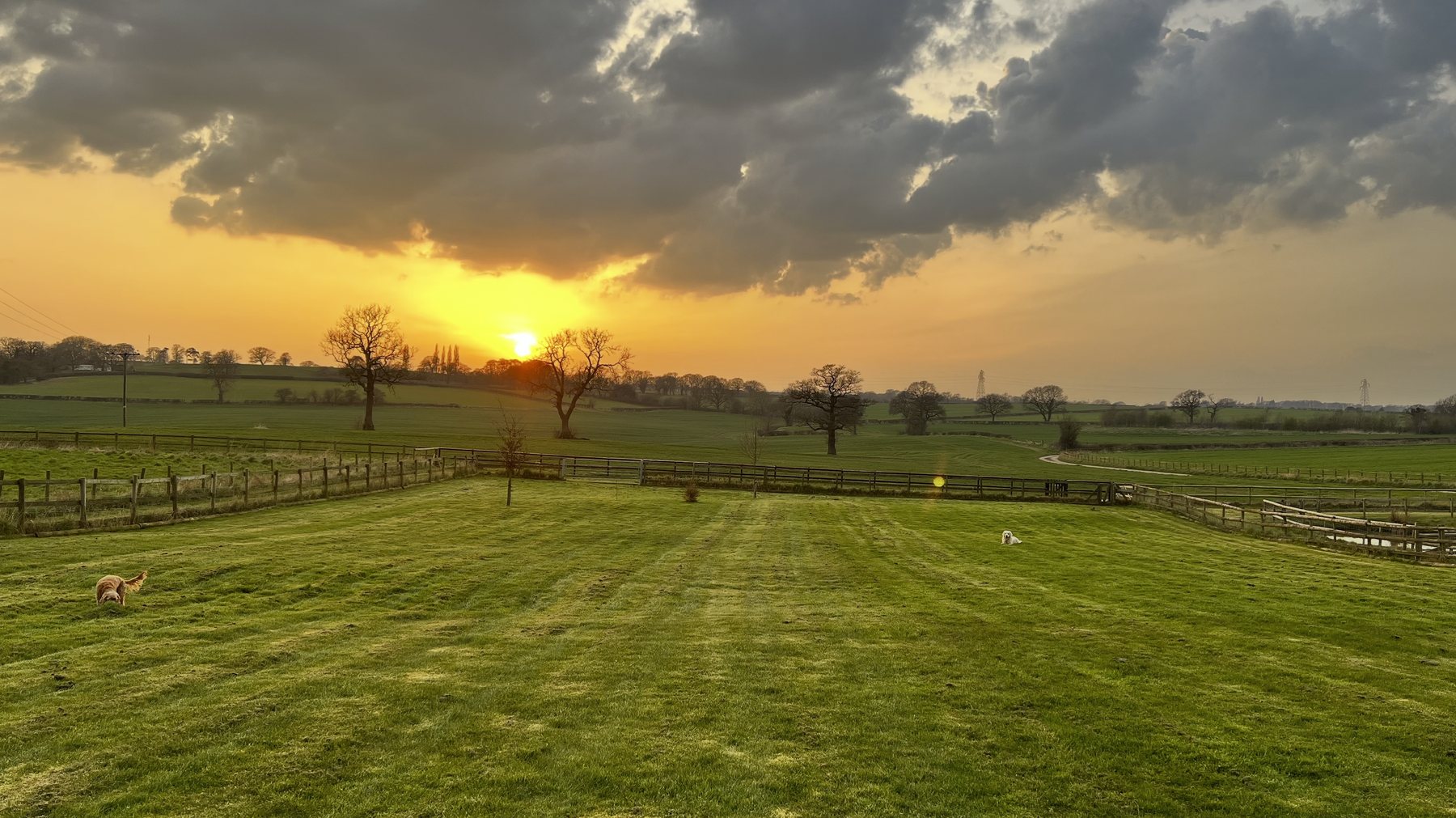 Open countryside and sunset views from Paws & Pixels