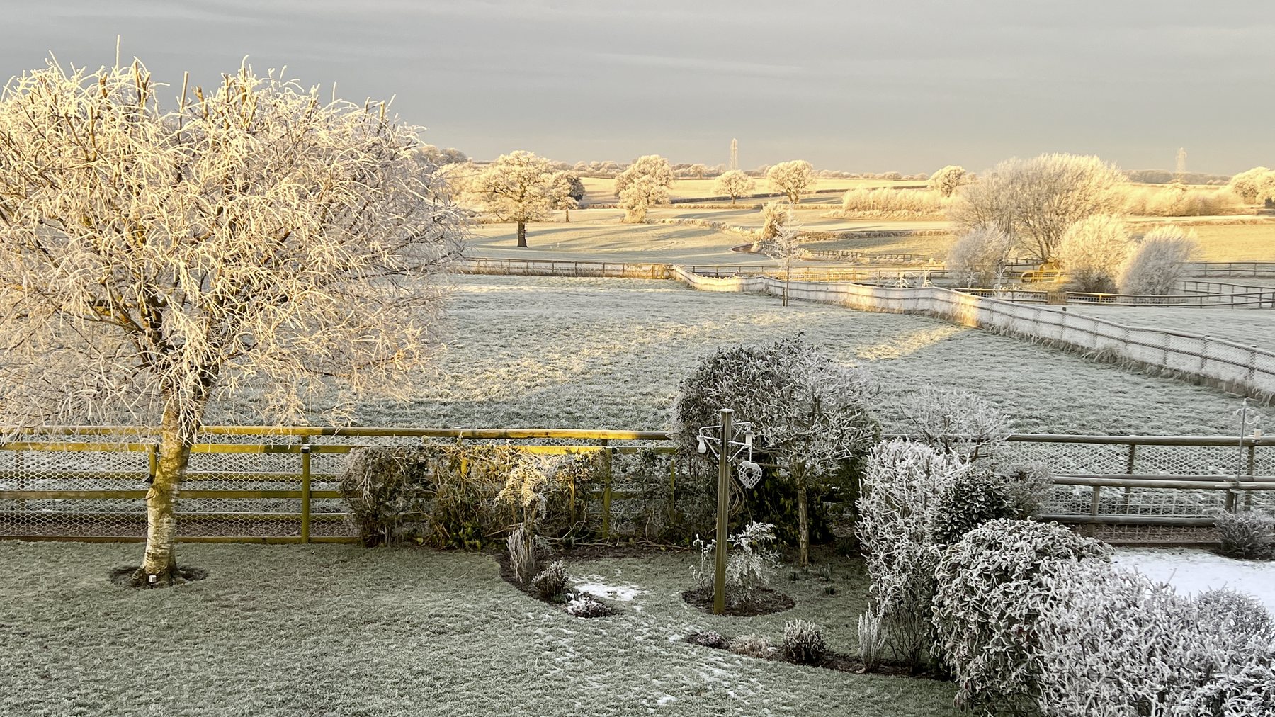 Frosty countryside view from the Paws & Pixels garden